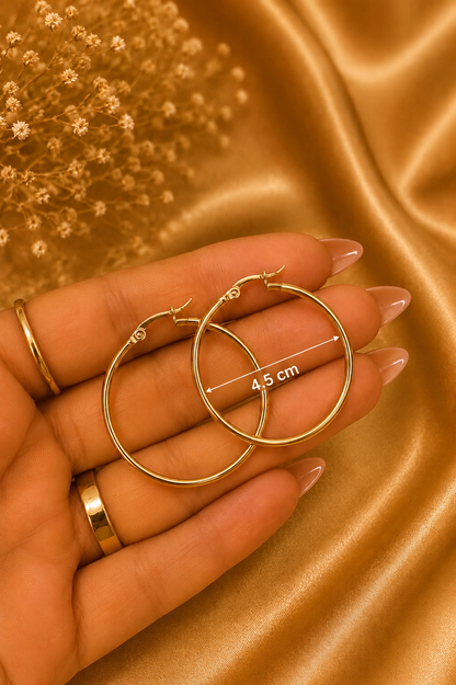 Gold Hoop Earrings