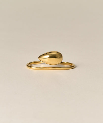 Two Finger Ring