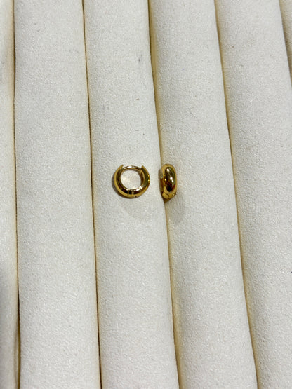 Oval Profile Gold Hoop Earrings