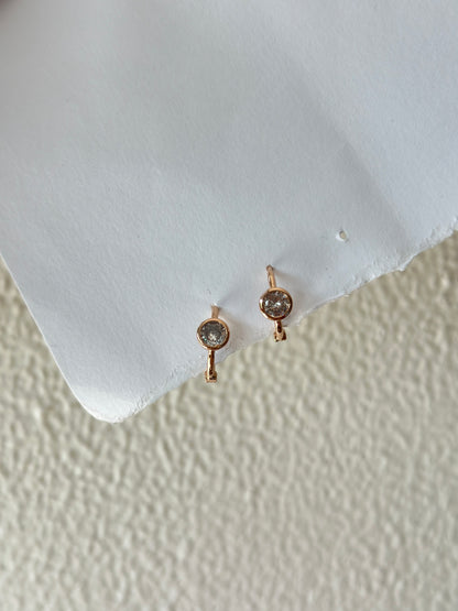 Round Crystal Hoop Earrings